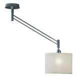 Swing Arm Ceiling Light