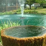 Farm Pond Fountain