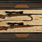 Firearm Display Case