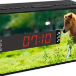 Horse Alarm Clock Radio