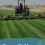 How Profitable Is Sod Farming