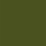 Is Army Green A Neutral Color