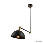 Swing Arm Ceiling Light